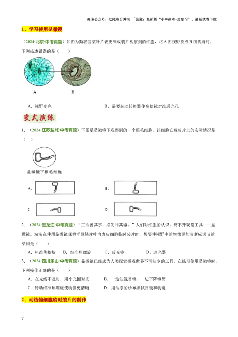 专题02生物体的结构层次（2大模板）（原卷版）_02中考总复习（2026版更新中）_08-生物-中考总复习_2025中考复习资料_2025年中考生物答题方法模板