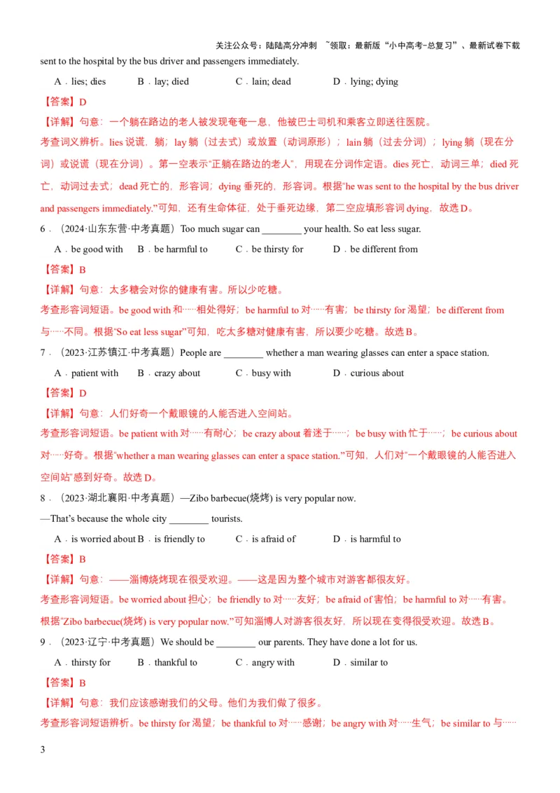 专题03形容词和副词（讲练）（解析版）_02中考总复习（2026版更新中）_03-英语-中考总复习_2025中考复习资料_2025中考二轮课件ppt+讲义+练习英语_讲义+练习