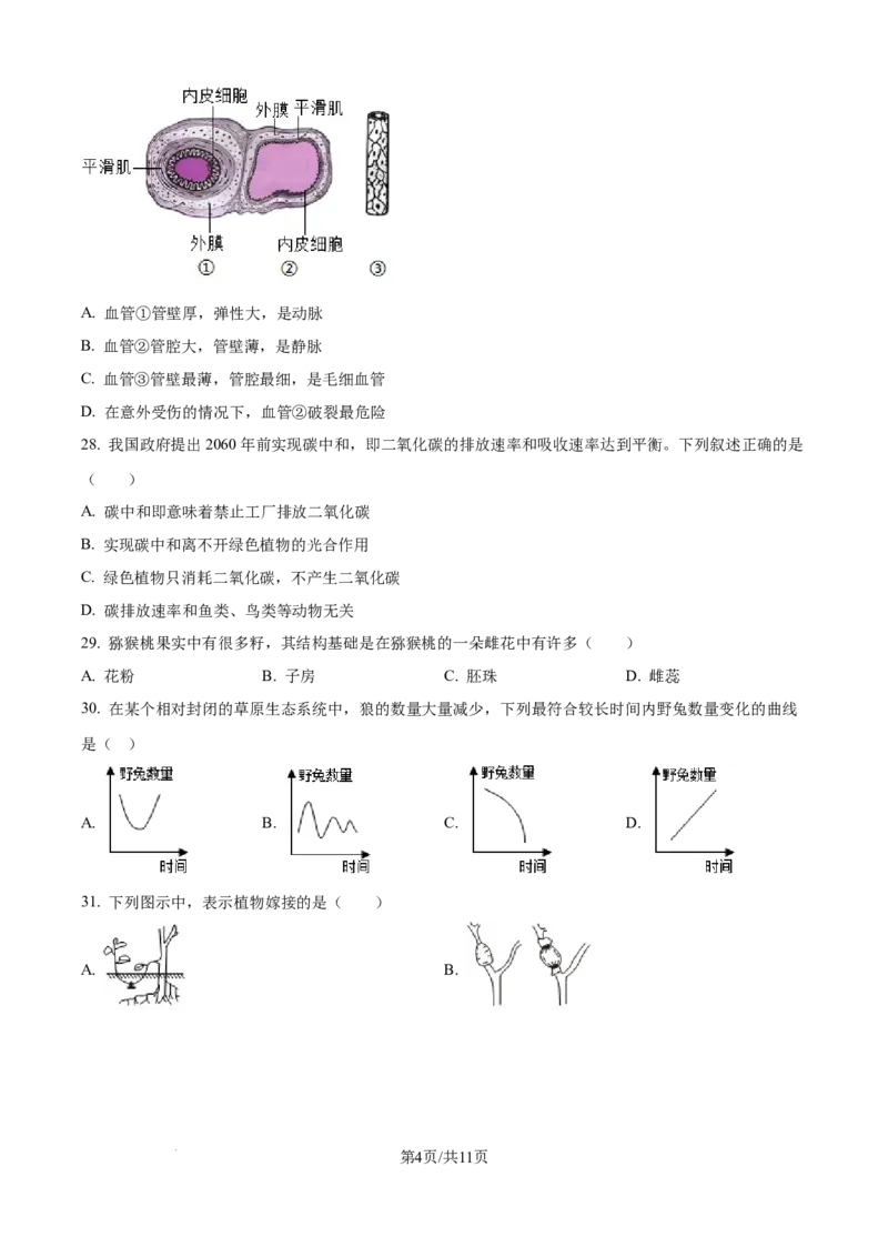 精品解析：2024年江苏省无锡市中考生物真题（原卷版）_江苏省中考_01江苏省13市中考历年真题2008-2025新_、中考全套_江苏省中考历年真题_江苏中考生物(2010年-2024年）