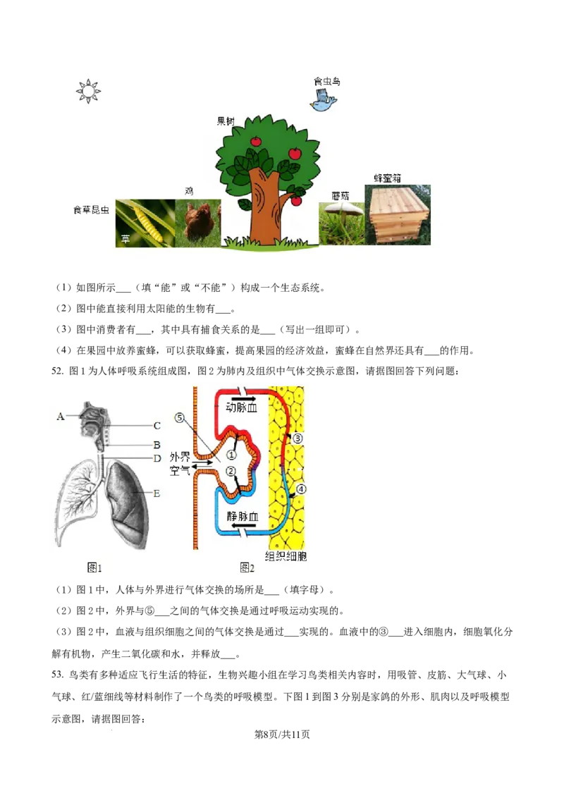 精品解析：2024年江苏省无锡市中考生物真题（原卷版）_江苏省中考_01江苏省13市中考历年真题2008-2025新_、中考全套_江苏省中考历年真题_江苏中考生物(2010年-2024年）