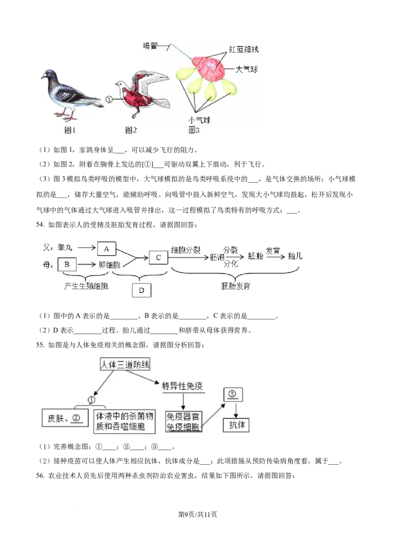 精品解析：2024年江苏省无锡市中考生物真题（原卷版）_江苏省中考_01江苏省13市中考历年真题2008-2025新_、中考全套_江苏省中考历年真题_江苏中考生物(2010年-2024年）
