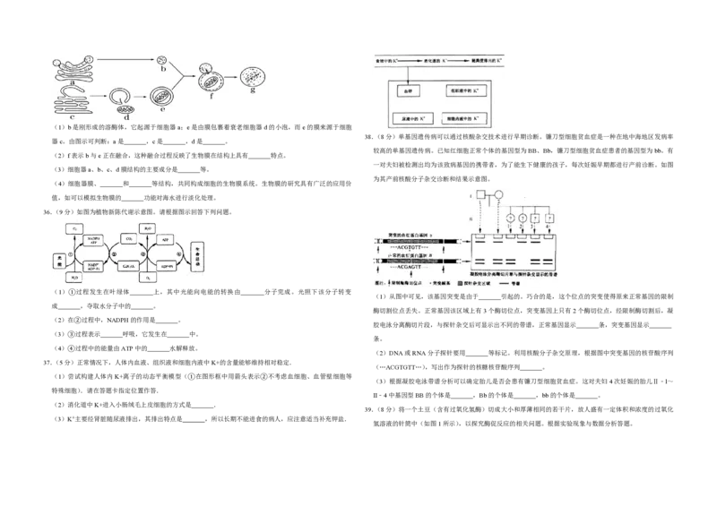 2007年江苏省高考生物试卷_全国卷+地方卷_6.生物_1.生物高考真题试卷_2008-2020年_地方卷_江苏高考生物07-20_A3word版_PDF版（赠送）