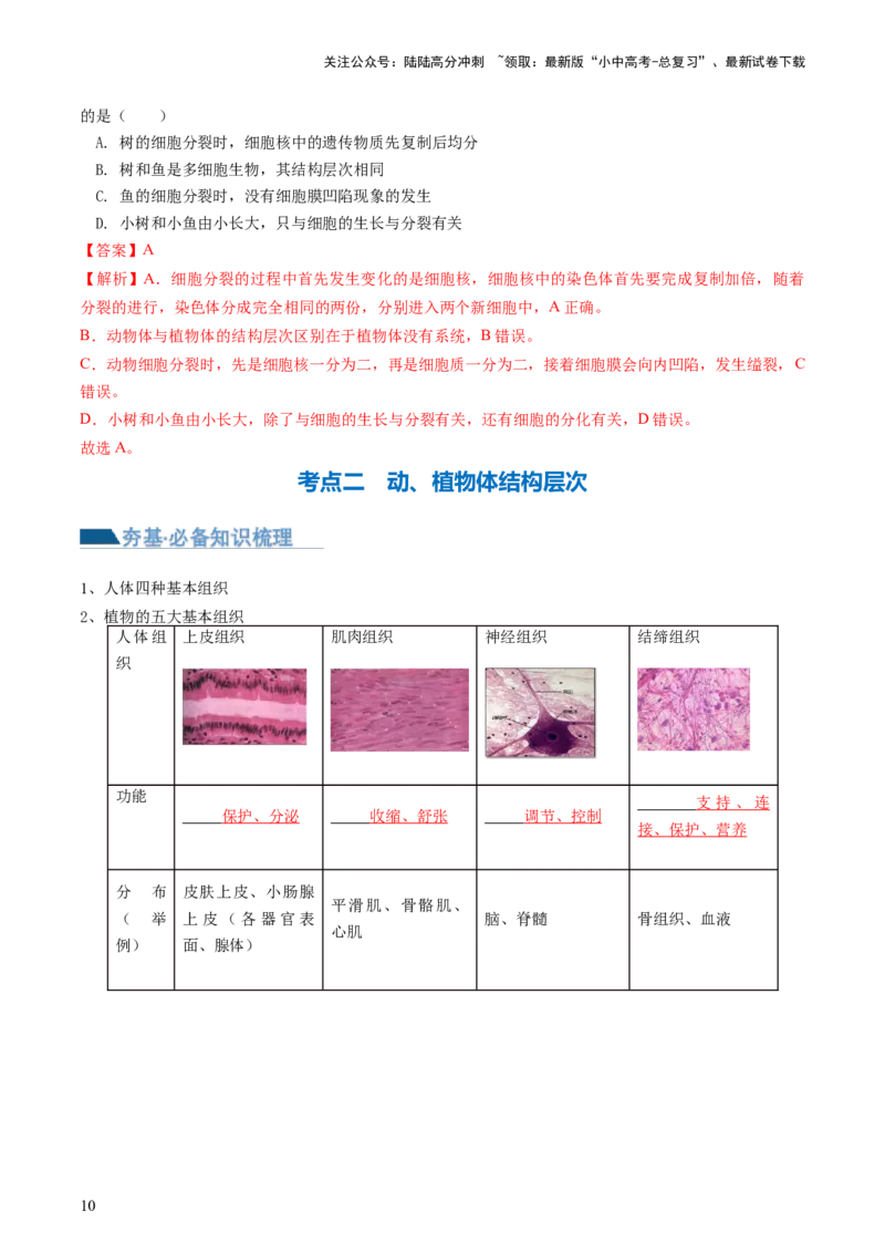 专题03细胞怎样构成生物体（讲义）（解析版）_02中考总复习（2026版更新中）_08-生物-中考总复习_2024年中考复习资料_一轮复习_❤2024年中考生物一轮复习讲练测（全国通用）_讲义