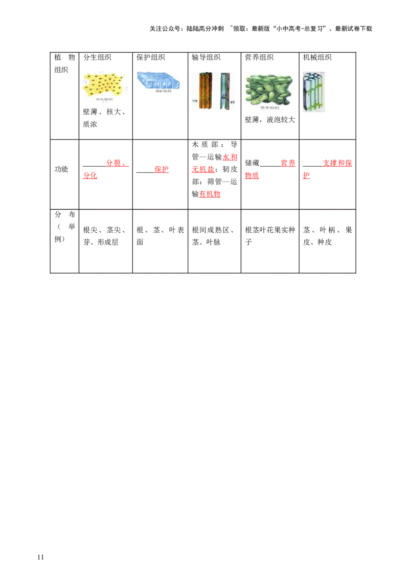 专题03细胞怎样构成生物体（讲义）（解析版）_02中考总复习（2026版更新中）_08-生物-中考总复习_2024年中考复习资料_一轮复习_❤2024年中考生物一轮复习讲练测（全国通用）_讲义