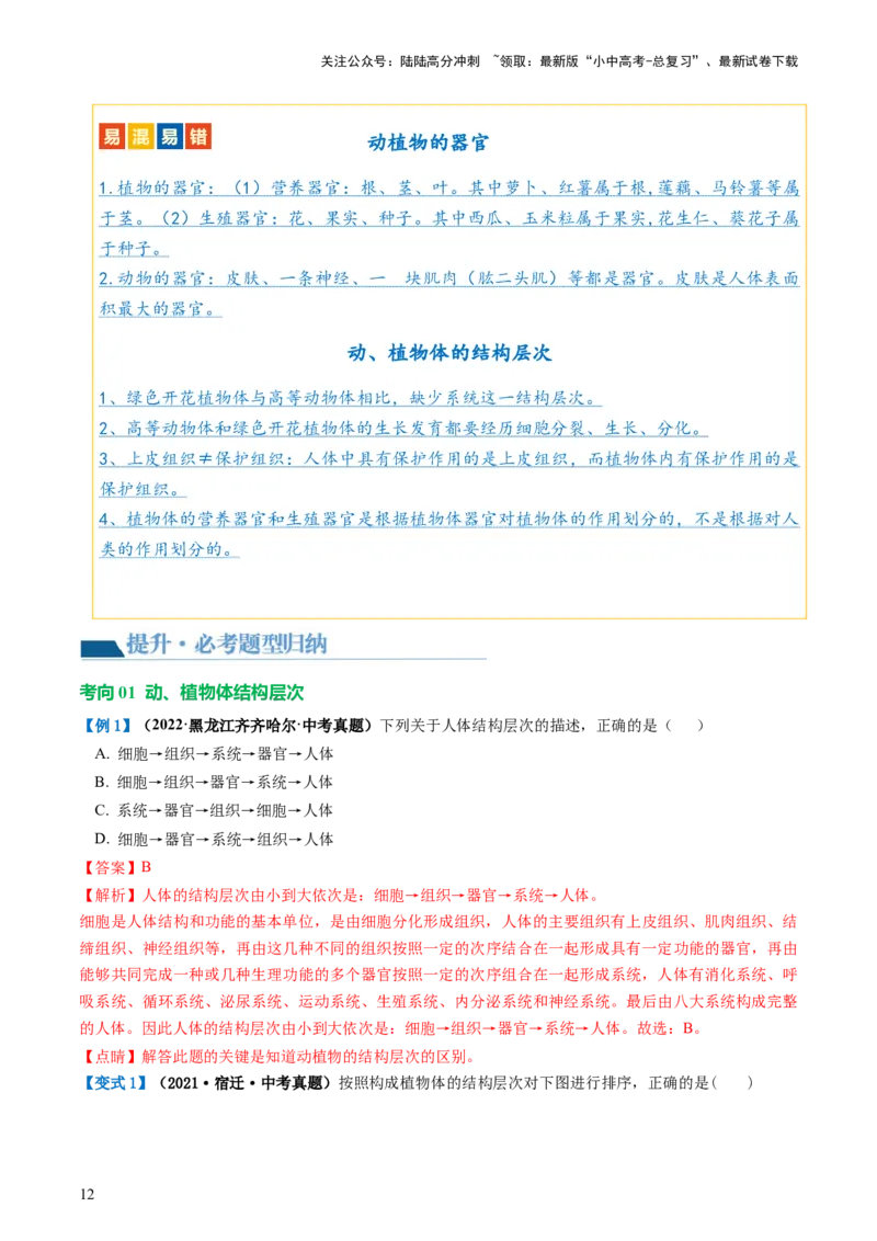 专题03细胞怎样构成生物体（讲义）（解析版）_02中考总复习（2026版更新中）_08-生物-中考总复习_2024年中考复习资料_一轮复习_❤2024年中考生物一轮复习讲练测（全国通用）_讲义