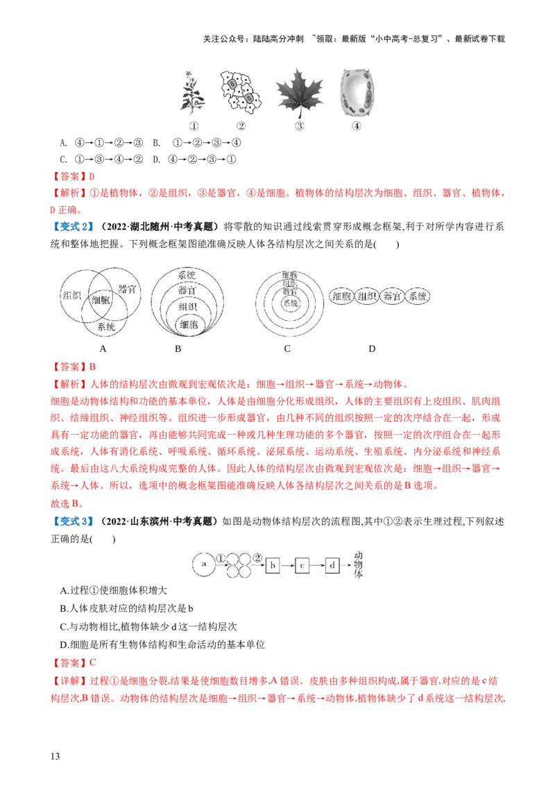 专题03细胞怎样构成生物体（讲义）（解析版）_02中考总复习（2026版更新中）_08-生物-中考总复习_2024年中考复习资料_一轮复习_❤2024年中考生物一轮复习讲练测（全国通用）_讲义