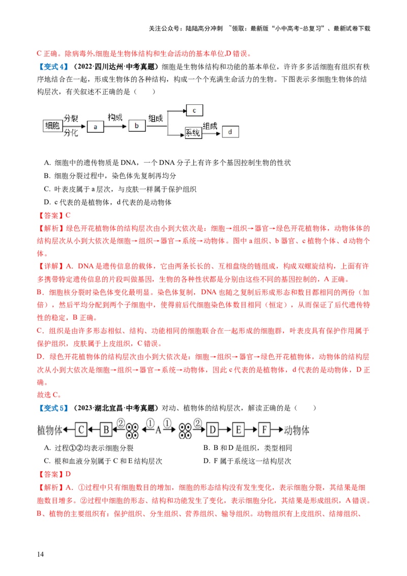 专题03细胞怎样构成生物体（讲义）（解析版）_02中考总复习（2026版更新中）_08-生物-中考总复习_2024年中考复习资料_一轮复习_❤2024年中考生物一轮复习讲练测（全国通用）_讲义
