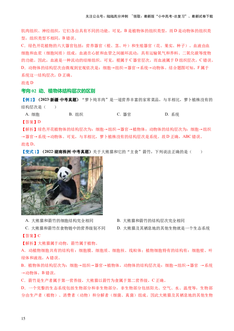 专题03细胞怎样构成生物体（讲义）（解析版）_02中考总复习（2026版更新中）_08-生物-中考总复习_2024年中考复习资料_一轮复习_❤2024年中考生物一轮复习讲练测（全国通用）_讲义