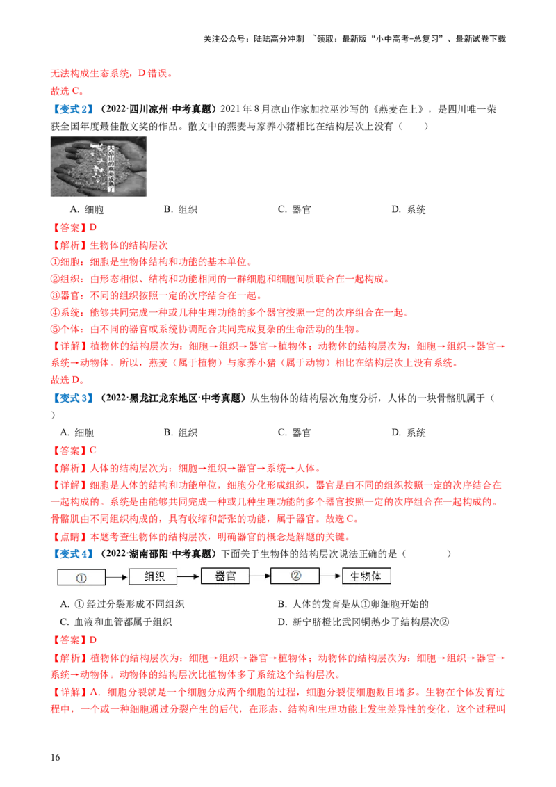专题03细胞怎样构成生物体（讲义）（解析版）_02中考总复习（2026版更新中）_08-生物-中考总复习_2024年中考复习资料_一轮复习_❤2024年中考生物一轮复习讲练测（全国通用）_讲义