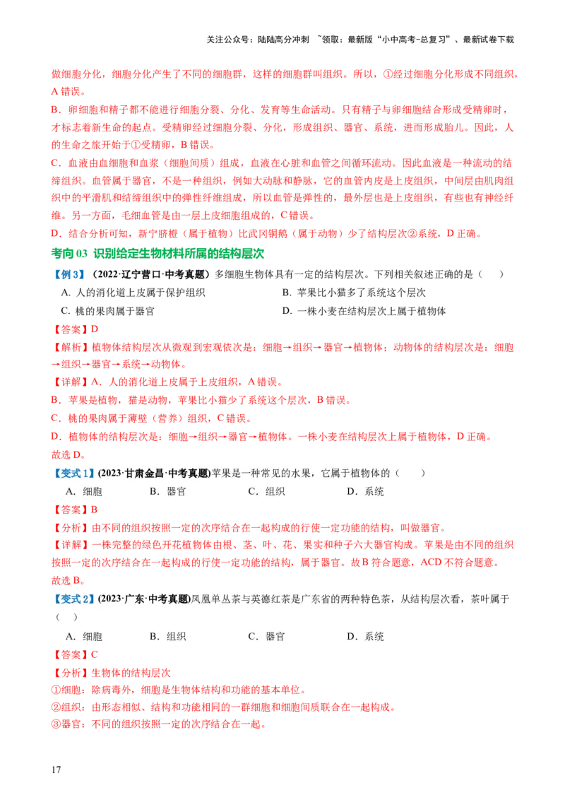 专题03细胞怎样构成生物体（讲义）（解析版）_02中考总复习（2026版更新中）_08-生物-中考总复习_2024年中考复习资料_一轮复习_❤2024年中考生物一轮复习讲练测（全国通用）_讲义