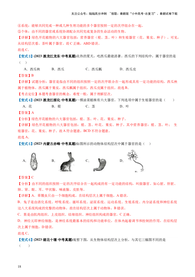 专题03细胞怎样构成生物体（讲义）（解析版）_02中考总复习（2026版更新中）_08-生物-中考总复习_2024年中考复习资料_一轮复习_❤2024年中考生物一轮复习讲练测（全国通用）_讲义