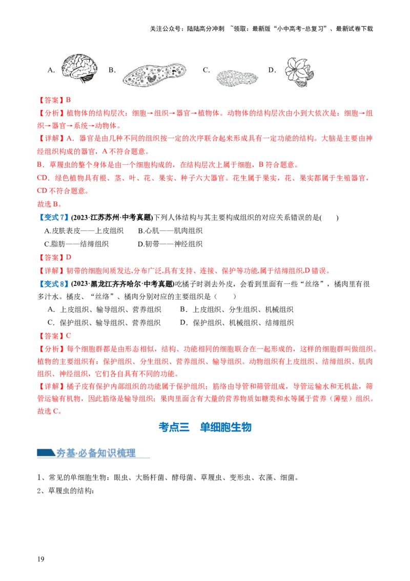 专题03细胞怎样构成生物体（讲义）（解析版）_02中考总复习（2026版更新中）_08-生物-中考总复习_2024年中考复习资料_一轮复习_❤2024年中考生物一轮复习讲练测（全国通用）_讲义