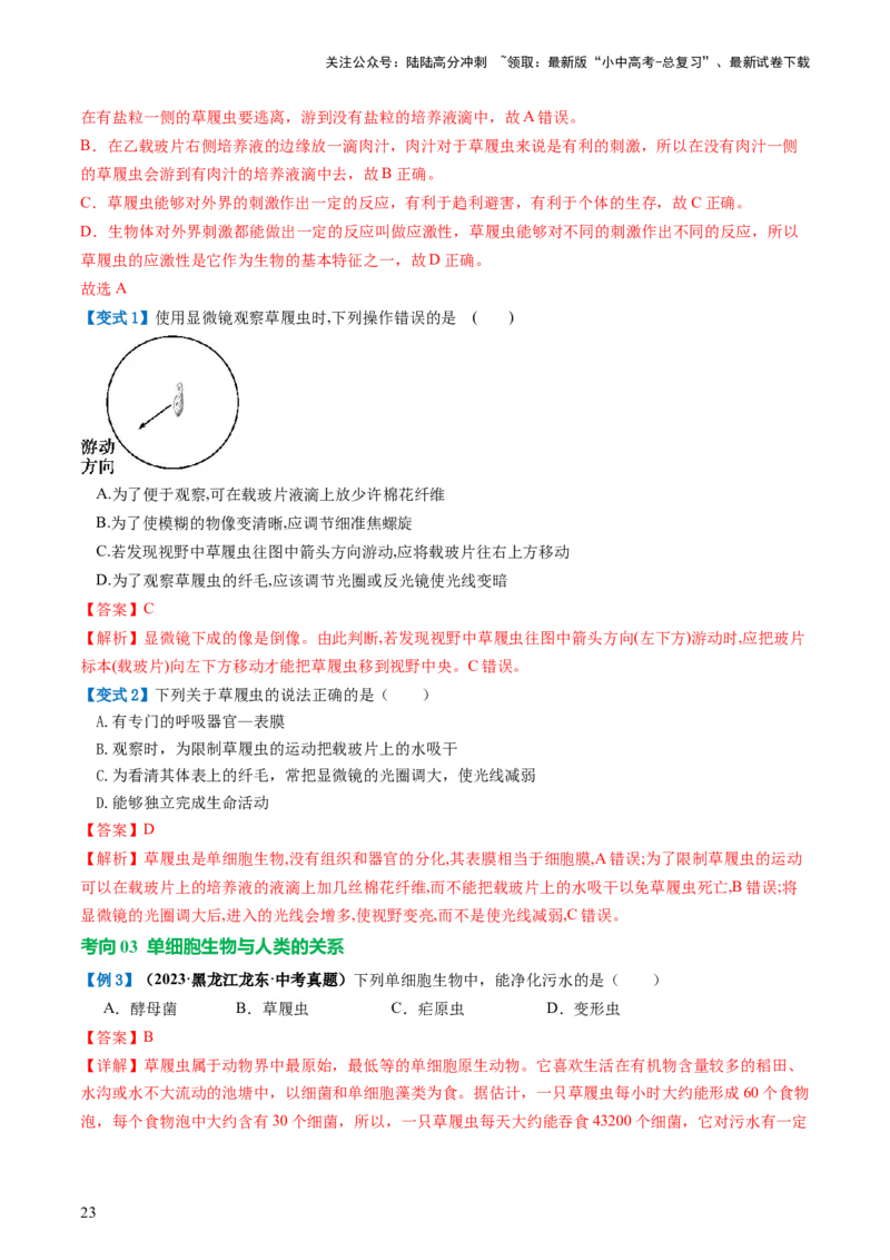 专题03细胞怎样构成生物体（讲义）（解析版）_02中考总复习（2026版更新中）_08-生物-中考总复习_2024年中考复习资料_一轮复习_❤2024年中考生物一轮复习讲练测（全国通用）_讲义