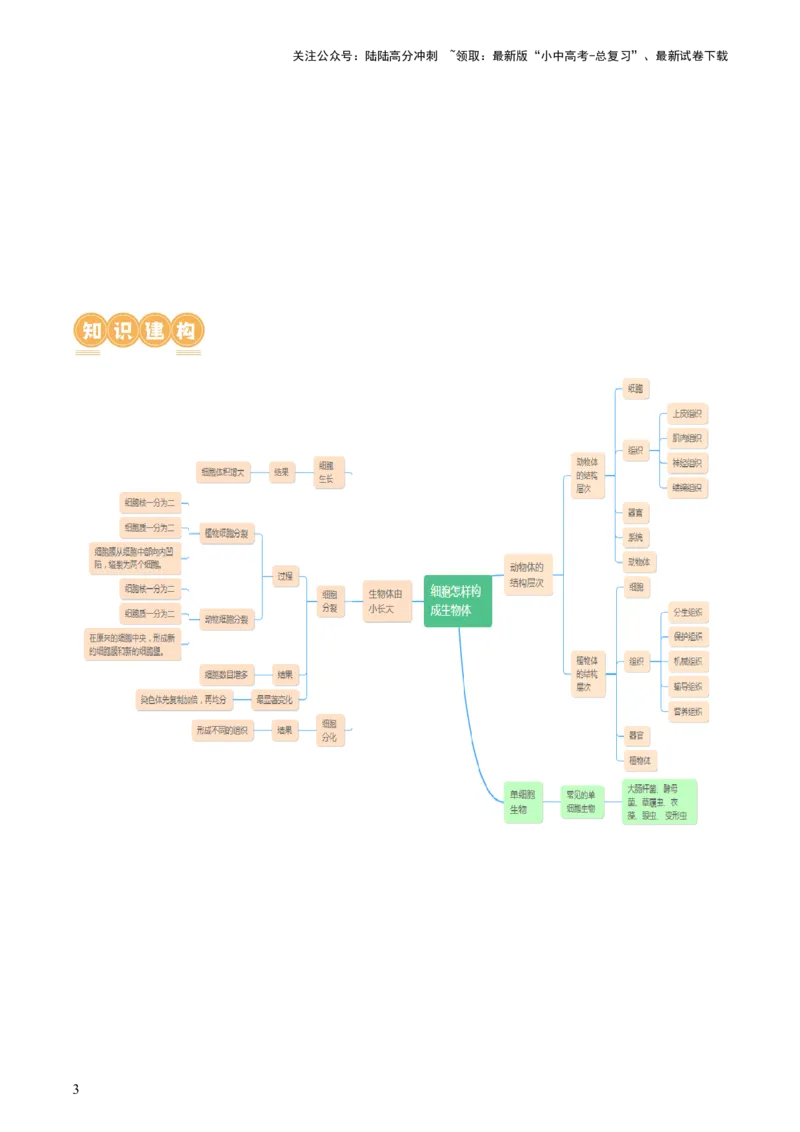 专题03细胞怎样构成生物体（讲义）（解析版）_02中考总复习（2026版更新中）_08-生物-中考总复习_2024年中考复习资料_一轮复习_❤2024年中考生物一轮复习讲练测（全国通用）_讲义