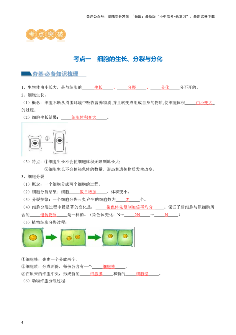 专题03细胞怎样构成生物体（讲义）（解析版）_02中考总复习（2026版更新中）_08-生物-中考总复习_2024年中考复习资料_一轮复习_❤2024年中考生物一轮复习讲练测（全国通用）_讲义