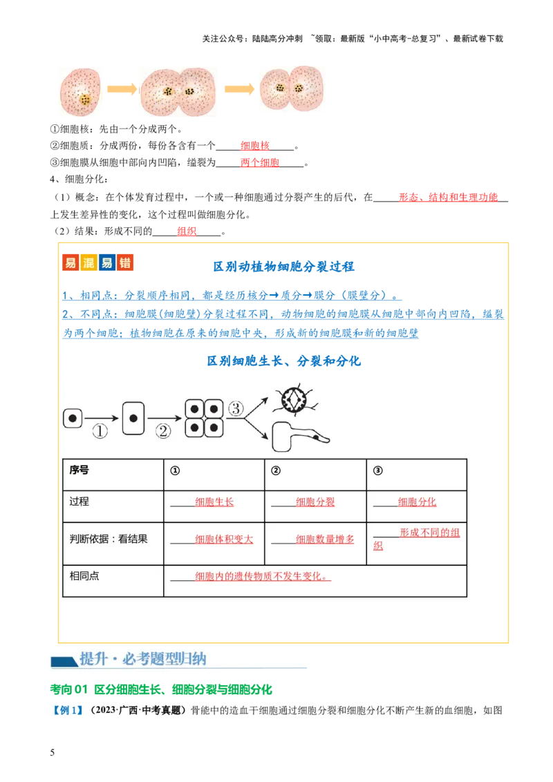 专题03细胞怎样构成生物体（讲义）（解析版）_02中考总复习（2026版更新中）_08-生物-中考总复习_2024年中考复习资料_一轮复习_❤2024年中考生物一轮复习讲练测（全国通用）_讲义