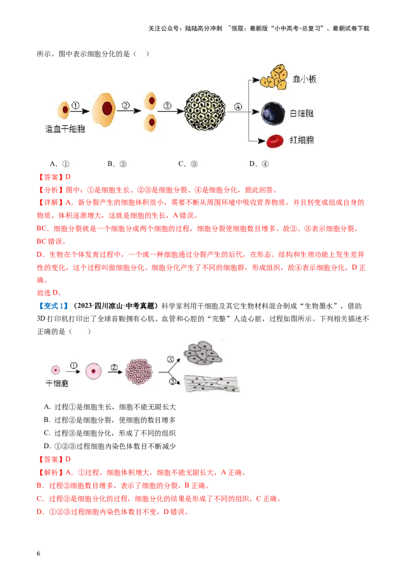 专题03细胞怎样构成生物体（讲义）（解析版）_02中考总复习（2026版更新中）_08-生物-中考总复习_2024年中考复习资料_一轮复习_❤2024年中考生物一轮复习讲练测（全国通用）_讲义