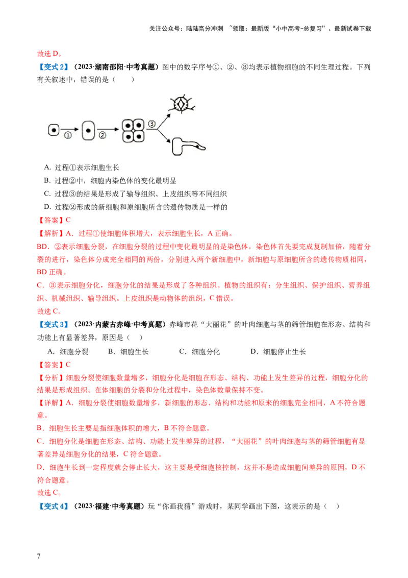 专题03细胞怎样构成生物体（讲义）（解析版）_02中考总复习（2026版更新中）_08-生物-中考总复习_2024年中考复习资料_一轮复习_❤2024年中考生物一轮复习讲练测（全国通用）_讲义