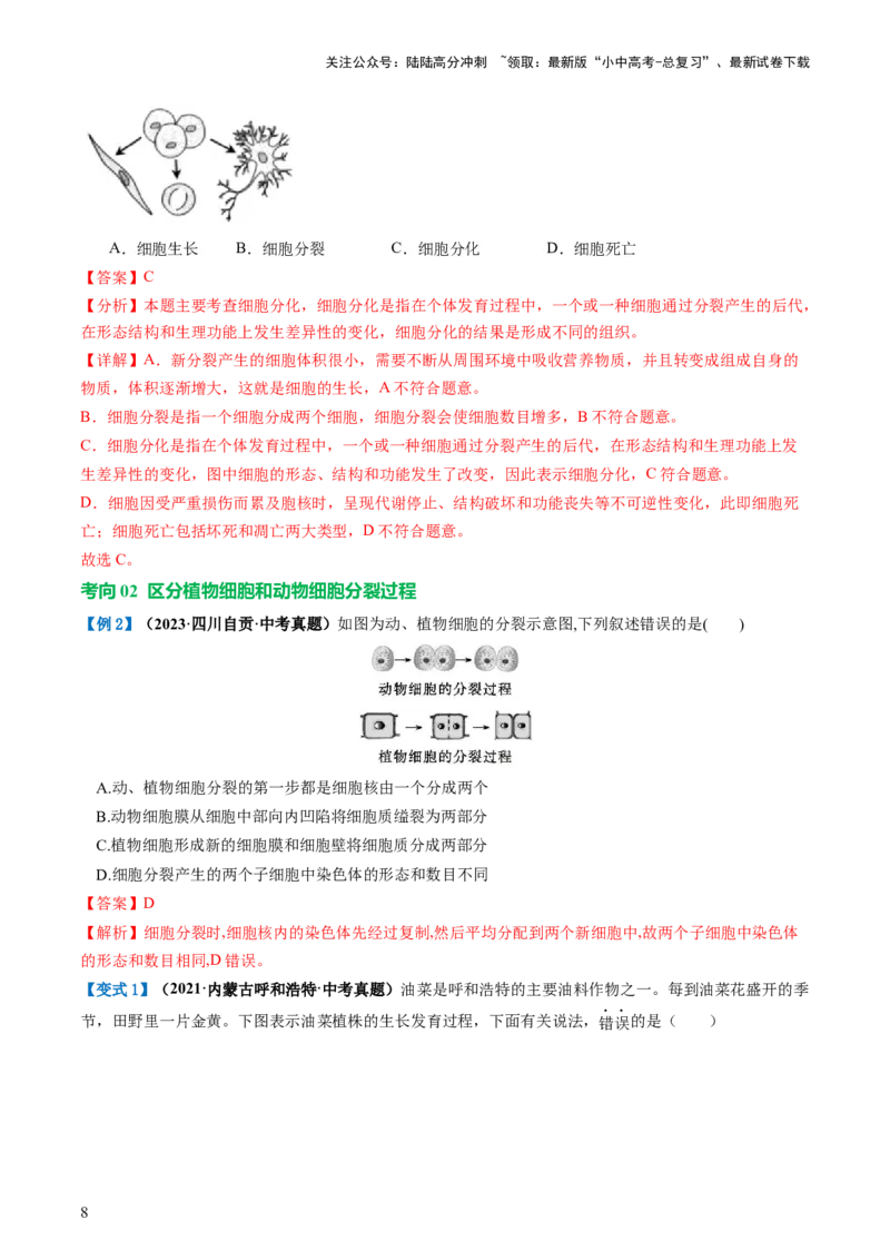 专题03细胞怎样构成生物体（讲义）（解析版）_02中考总复习（2026版更新中）_08-生物-中考总复习_2024年中考复习资料_一轮复习_❤2024年中考生物一轮复习讲练测（全国通用）_讲义
