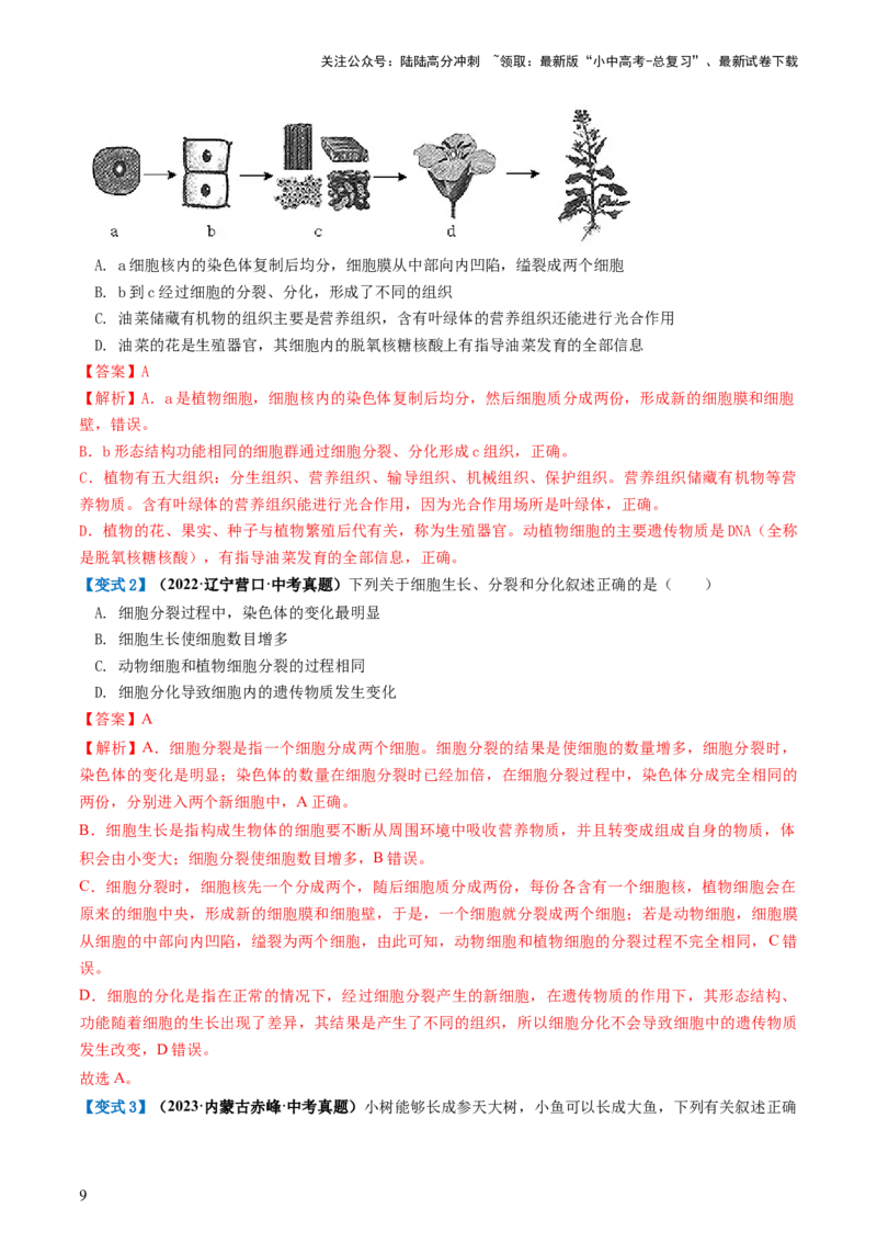 专题03细胞怎样构成生物体（讲义）（解析版）_02中考总复习（2026版更新中）_08-生物-中考总复习_2024年中考复习资料_一轮复习_❤2024年中考生物一轮复习讲练测（全国通用）_讲义