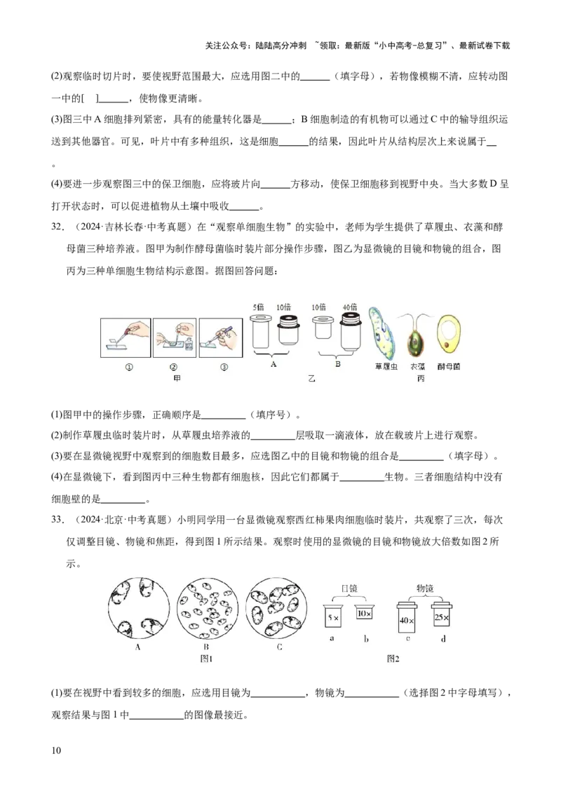 专题02生物体的结构层次（全国通用）（原卷版）_02中考总复习（2026版更新中）_08-生物-中考总复习_2026年中考复习（更新中）