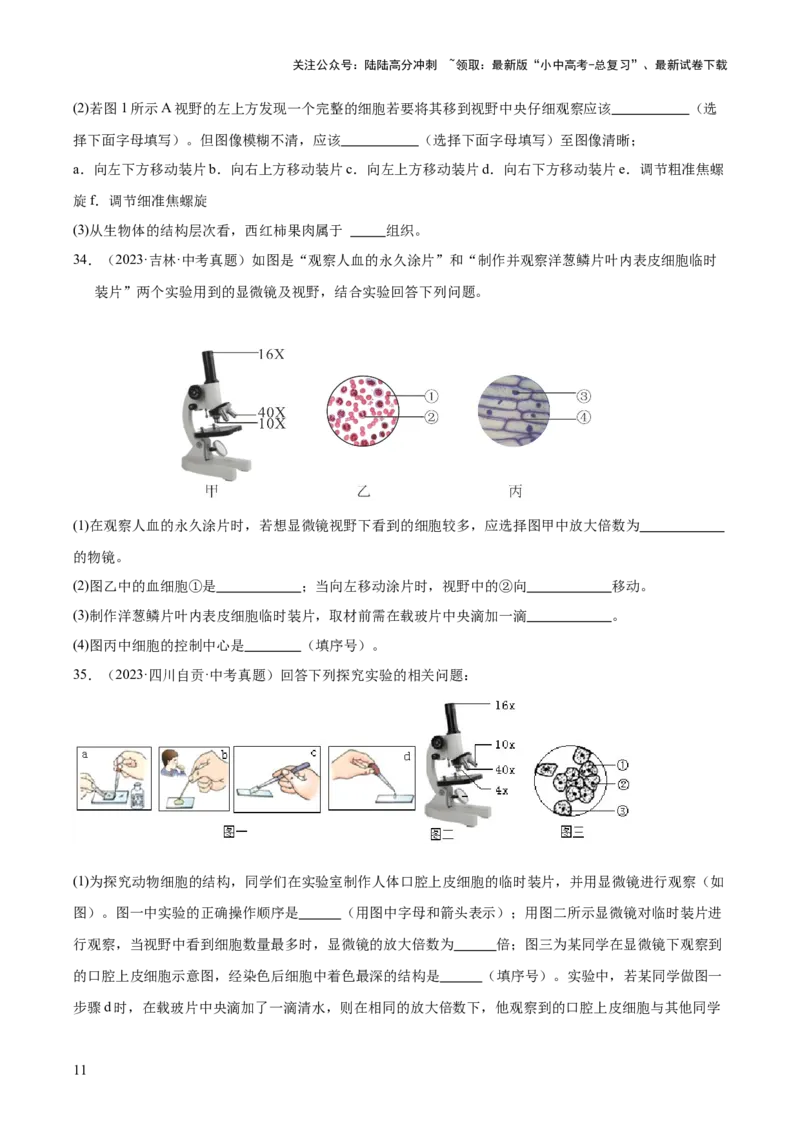 专题02生物体的结构层次（全国通用）（原卷版）_02中考总复习（2026版更新中）_08-生物-中考总复习_2026年中考复习（更新中）