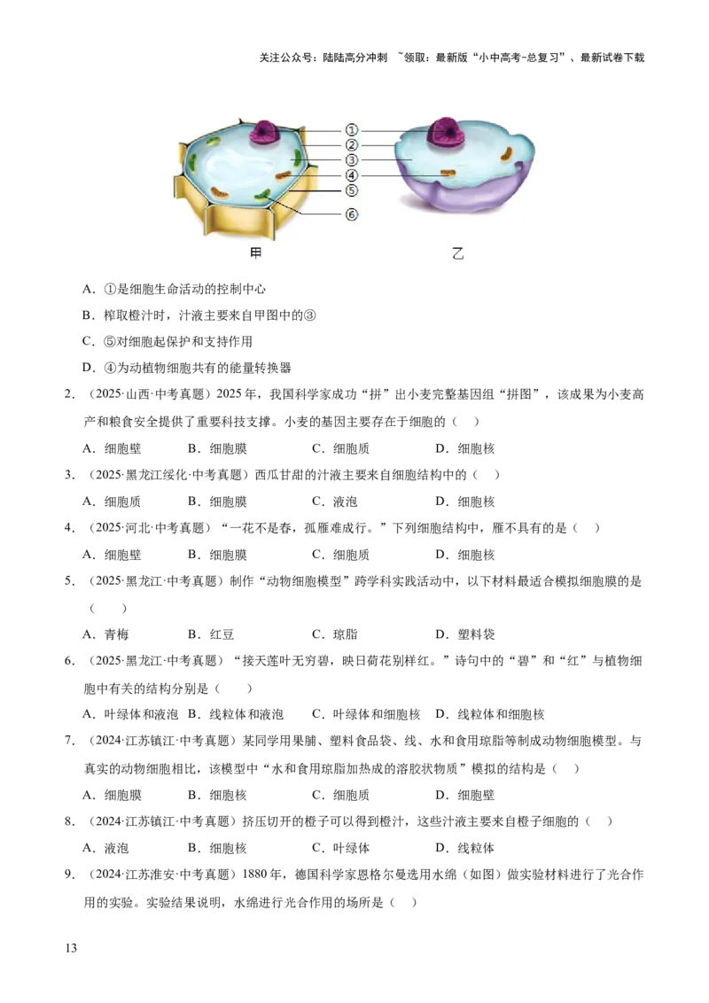 专题02生物体的结构层次（全国通用）（原卷版）_02中考总复习（2026版更新中）_08-生物-中考总复习_2026年中考复习（更新中）
