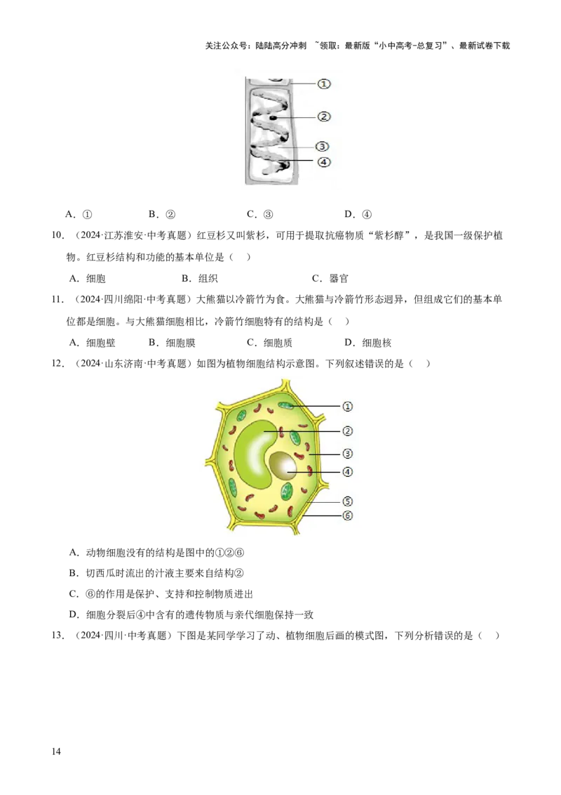专题02生物体的结构层次（全国通用）（原卷版）_02中考总复习（2026版更新中）_08-生物-中考总复习_2026年中考复习（更新中）