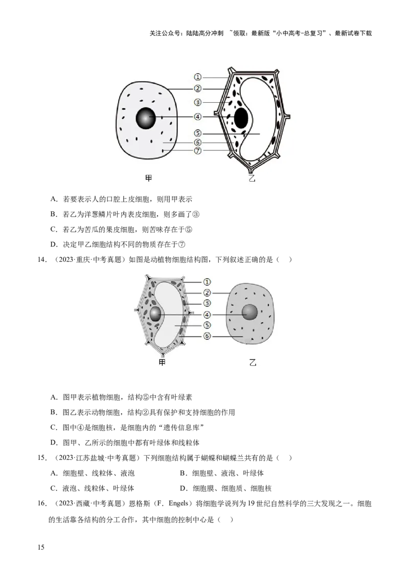 专题02生物体的结构层次（全国通用）（原卷版）_02中考总复习（2026版更新中）_08-生物-中考总复习_2026年中考复习（更新中）
