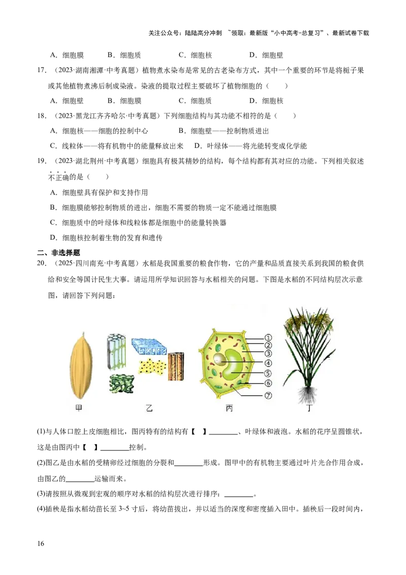 专题02生物体的结构层次（全国通用）（原卷版）_02中考总复习（2026版更新中）_08-生物-中考总复习_2026年中考复习（更新中）