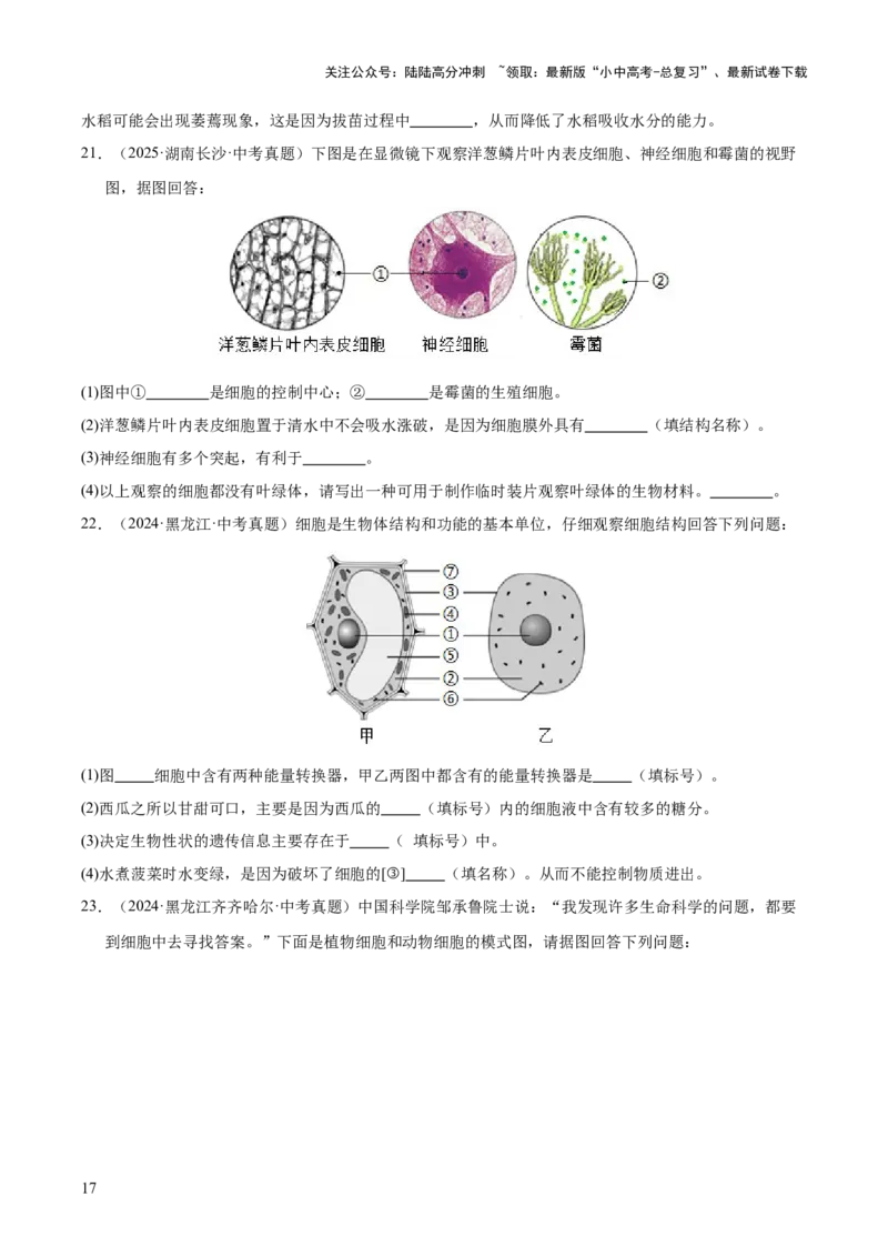 专题02生物体的结构层次（全国通用）（原卷版）_02中考总复习（2026版更新中）_08-生物-中考总复习_2026年中考复习（更新中）