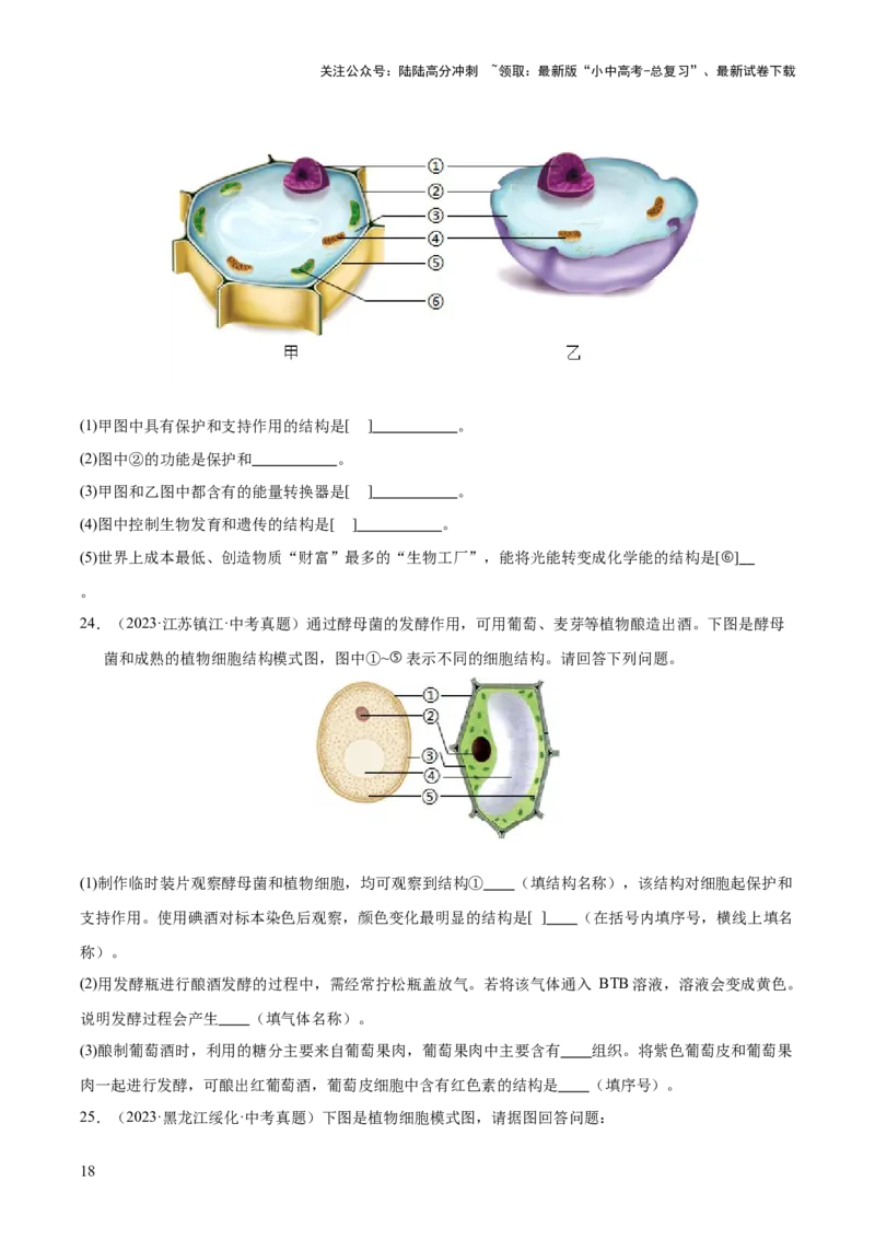 专题02生物体的结构层次（全国通用）（原卷版）_02中考总复习（2026版更新中）_08-生物-中考总复习_2026年中考复习（更新中）