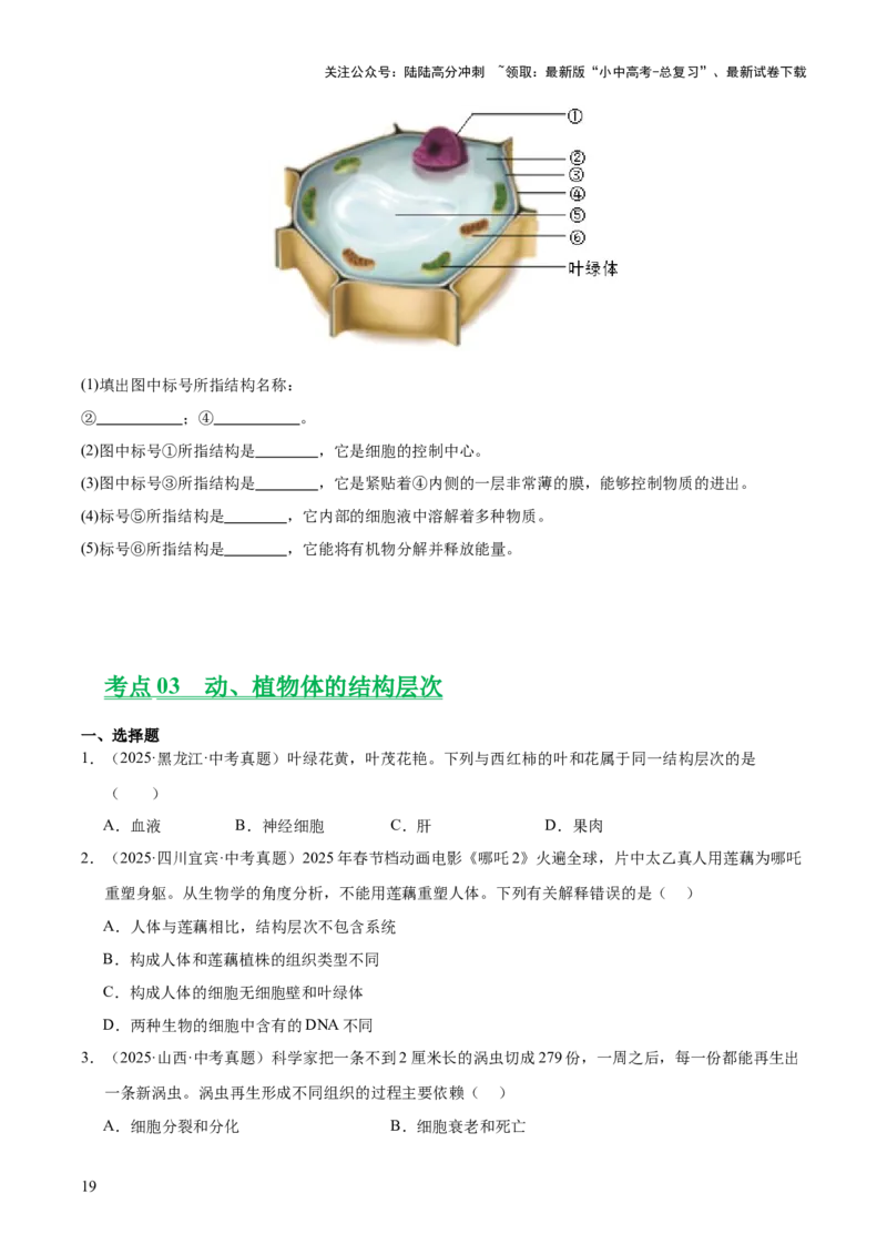 专题02生物体的结构层次（全国通用）（原卷版）_02中考总复习（2026版更新中）_08-生物-中考总复习_2026年中考复习（更新中）