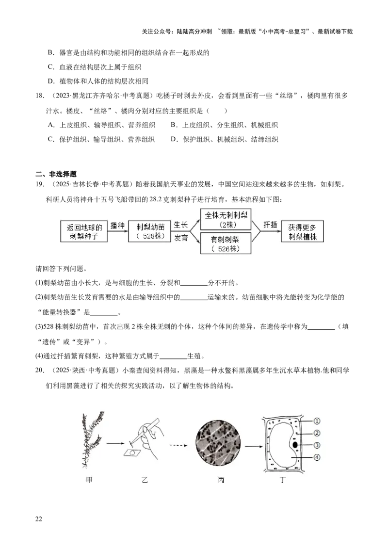 专题02生物体的结构层次（全国通用）（原卷版）_02中考总复习（2026版更新中）_08-生物-中考总复习_2026年中考复习（更新中）