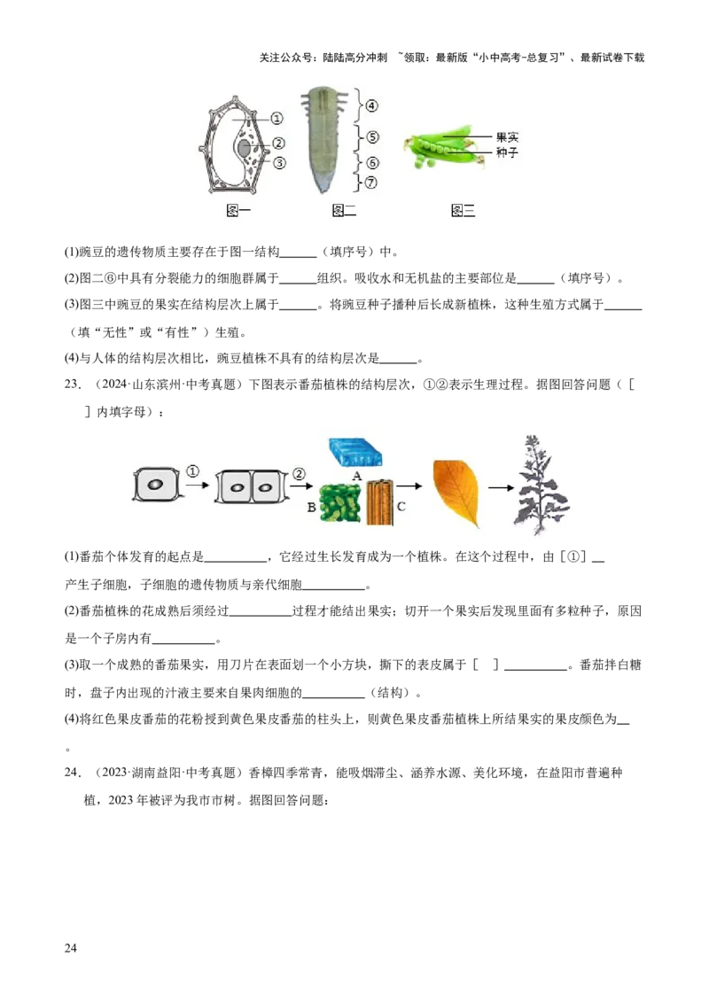 专题02生物体的结构层次（全国通用）（原卷版）_02中考总复习（2026版更新中）_08-生物-中考总复习_2026年中考复习（更新中）
