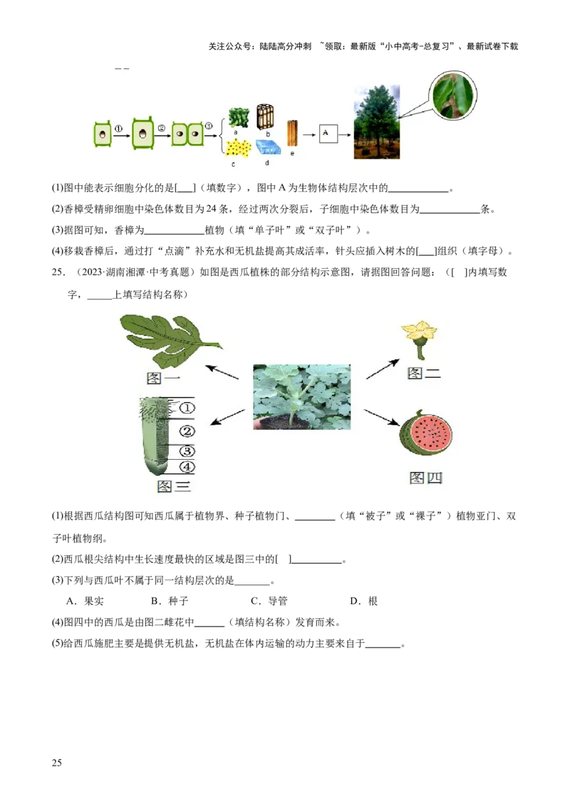 专题02生物体的结构层次（全国通用）（原卷版）_02中考总复习（2026版更新中）_08-生物-中考总复习_2026年中考复习（更新中）