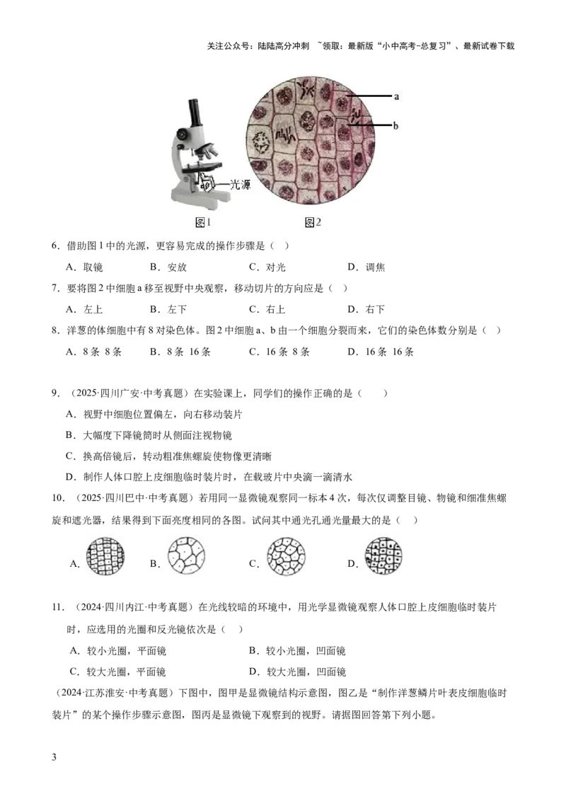 专题02生物体的结构层次（全国通用）（原卷版）_02中考总复习（2026版更新中）_08-生物-中考总复习_2026年中考复习（更新中）