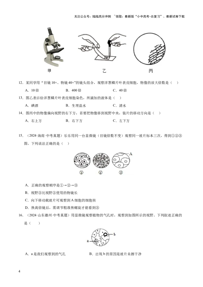 专题02生物体的结构层次（全国通用）（原卷版）_02中考总复习（2026版更新中）_08-生物-中考总复习_2026年中考复习（更新中）