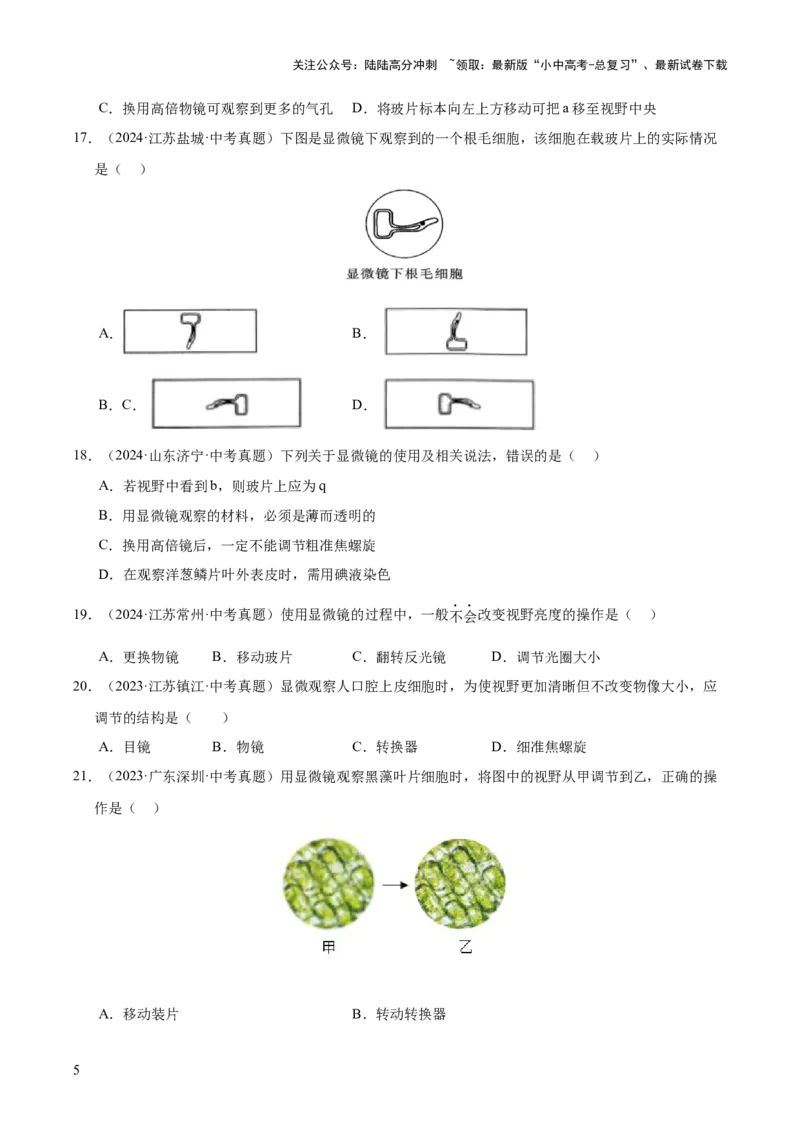 专题02生物体的结构层次（全国通用）（原卷版）_02中考总复习（2026版更新中）_08-生物-中考总复习_2026年中考复习（更新中）