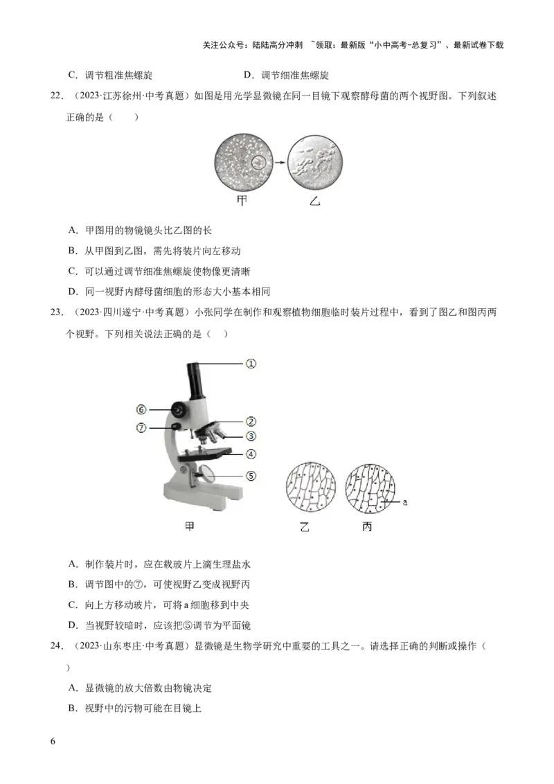 专题02生物体的结构层次（全国通用）（原卷版）_02中考总复习（2026版更新中）_08-生物-中考总复习_2026年中考复习（更新中）