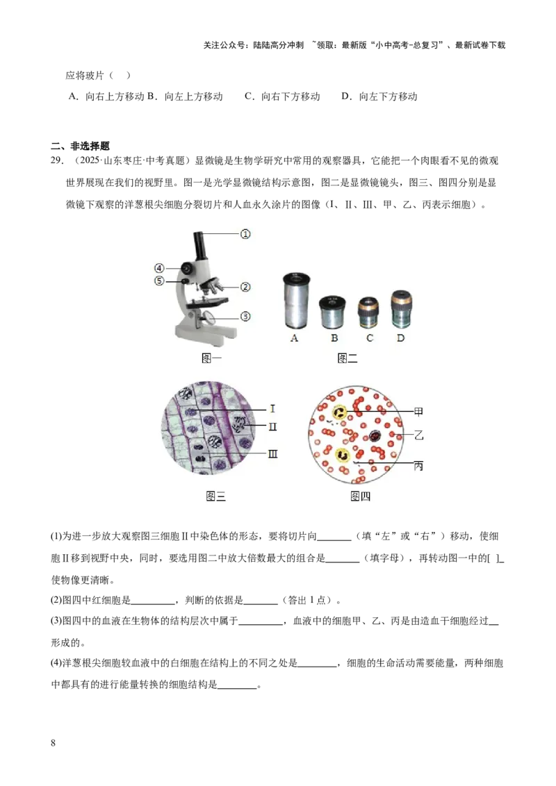 专题02生物体的结构层次（全国通用）（原卷版）_02中考总复习（2026版更新中）_08-生物-中考总复习_2026年中考复习（更新中）