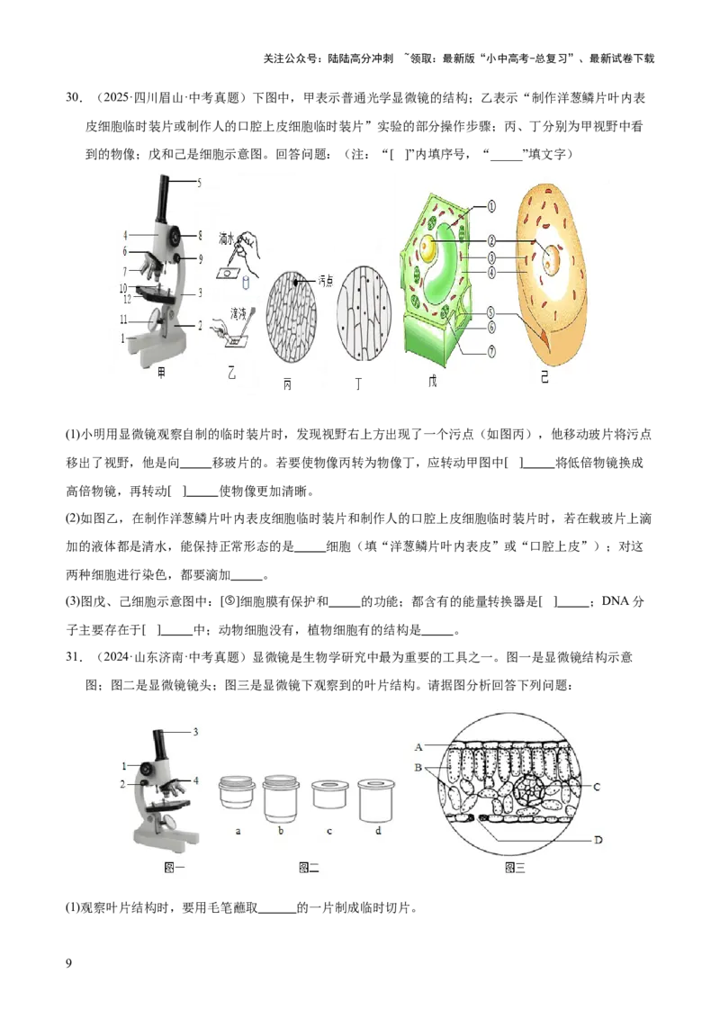 专题02生物体的结构层次（全国通用）（原卷版）_02中考总复习（2026版更新中）_08-生物-中考总复习_2026年中考复习（更新中）