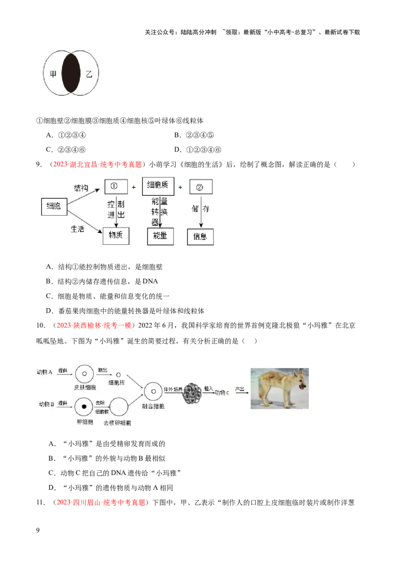专题02细胞是生命活动的基本单位（原卷版）_02中考总复习（2026版更新中）_08-生物-中考总复习_2024年中考复习资料_一轮复习_❤备战2024年中考生物一轮复习考点帮（全国通用）_练习