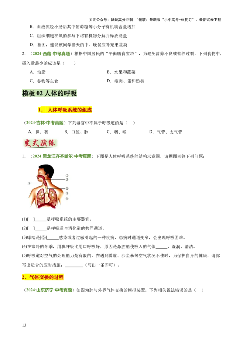 专题04人体生理与健康（一）（4大答题模板）（原卷版）_02中考总复习（2026版更新中）_08-生物-中考总复习_2025中考复习资料_2025年中考生物答题方法模板