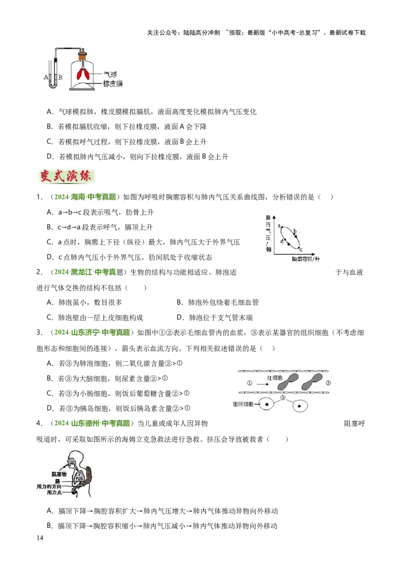 专题04人体生理与健康（一）（4大答题模板）（原卷版）_02中考总复习（2026版更新中）_08-生物-中考总复习_2025中考复习资料_2025年中考生物答题方法模板