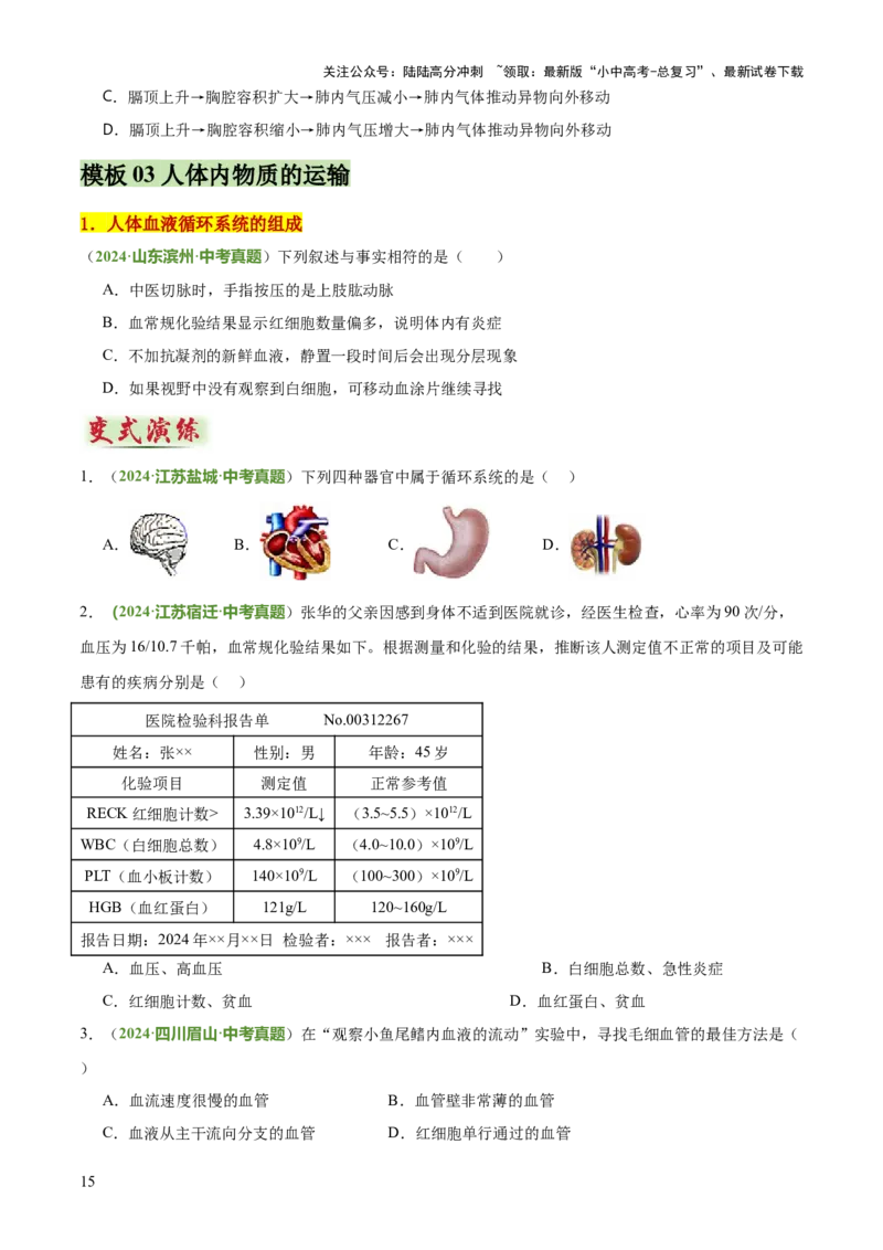 专题04人体生理与健康（一）（4大答题模板）（原卷版）_02中考总复习（2026版更新中）_08-生物-中考总复习_2025中考复习资料_2025年中考生物答题方法模板