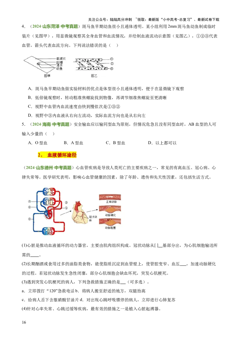 专题04人体生理与健康（一）（4大答题模板）（原卷版）_02中考总复习（2026版更新中）_08-生物-中考总复习_2025中考复习资料_2025年中考生物答题方法模板