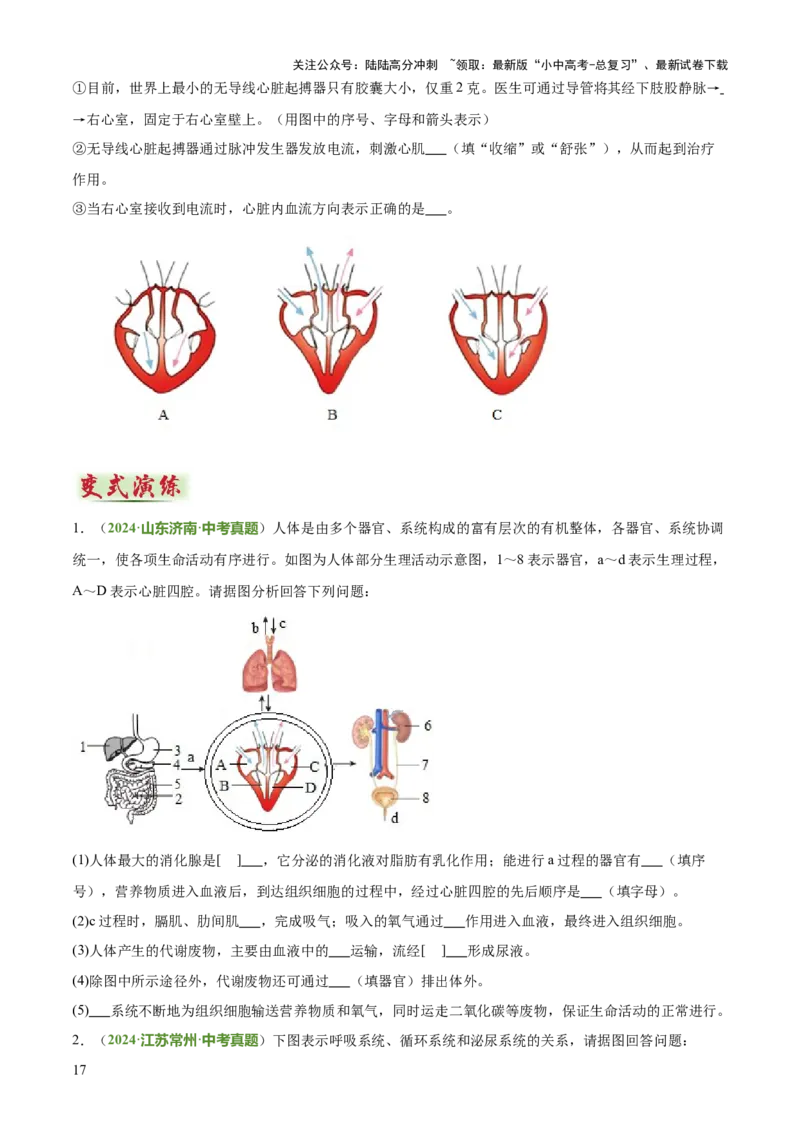 专题04人体生理与健康（一）（4大答题模板）（原卷版）_02中考总复习（2026版更新中）_08-生物-中考总复习_2025中考复习资料_2025年中考生物答题方法模板