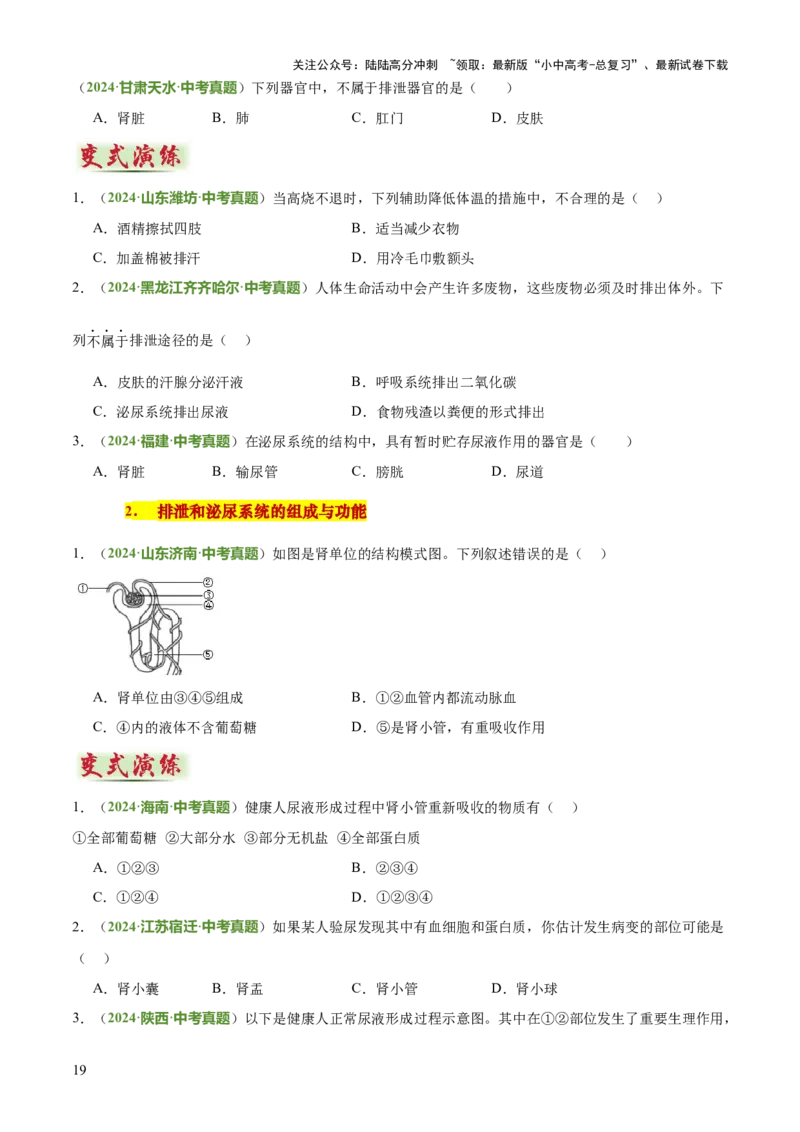 专题04人体生理与健康（一）（4大答题模板）（原卷版）_02中考总复习（2026版更新中）_08-生物-中考总复习_2025中考复习资料_2025年中考生物答题方法模板