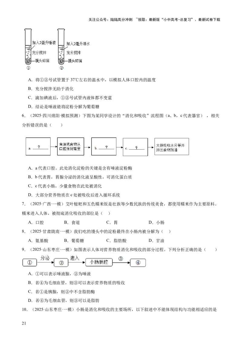 专题04人体生理与健康（一）（4大答题模板）（原卷版）_02中考总复习（2026版更新中）_08-生物-中考总复习_2025中考复习资料_2025年中考生物答题方法模板